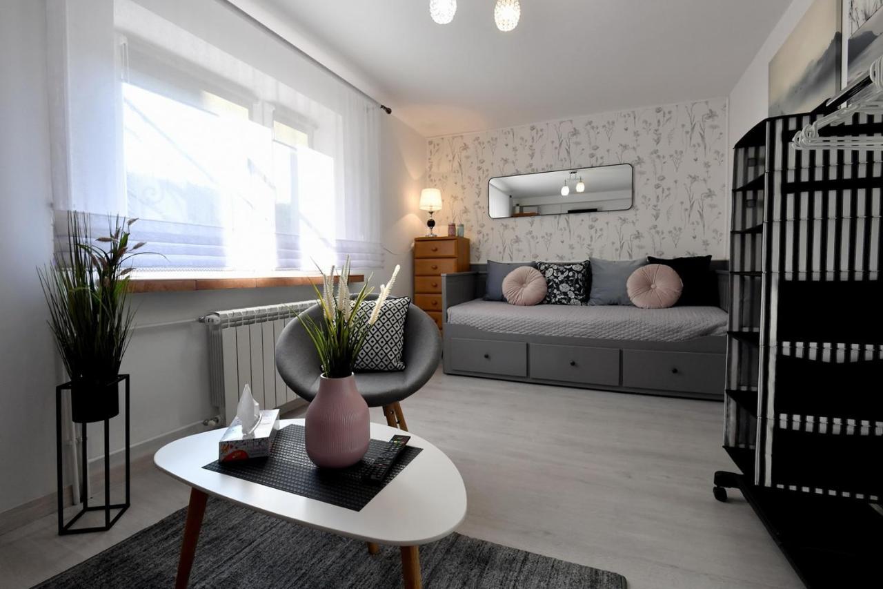 Apartament Spytkowice - Energylandia Krakow Oswiecim Wadowice Spytkowice (Wadowice) Buitenkant foto