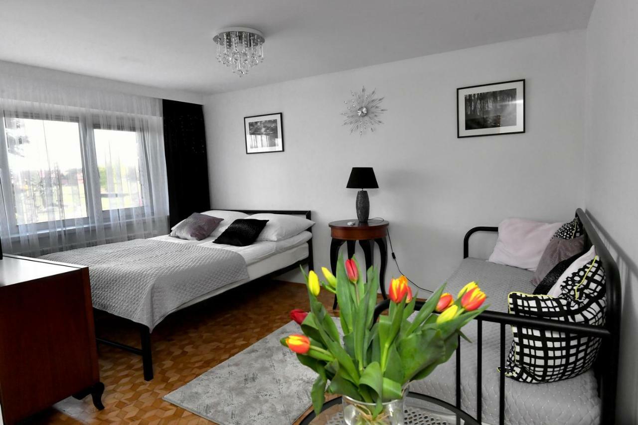 Apartament Spytkowice - Energylandia Krakow Oswiecim Wadowice Spytkowice (Wadowice) Buitenkant foto